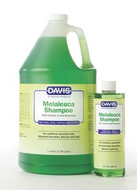 Davis melaleuca shampoo online