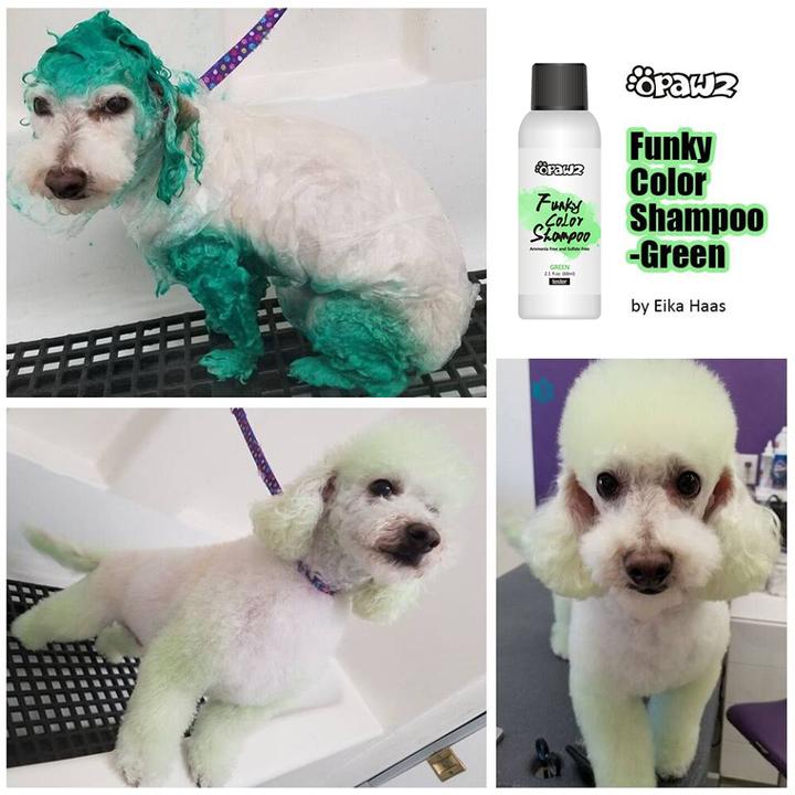 Green Opawz Funky Color Shampoo – SD Pro Shop