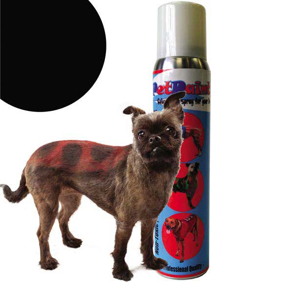 Black Pet Paint October 24, 2024 6-8 PM 